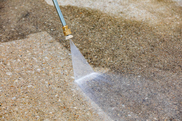 Best Driveway Pressure Washing  in Ricardo, TX